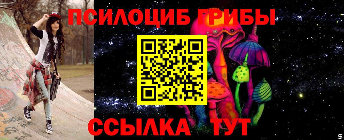 Ишимбай  цена   Вход с VPN  Галлюциногенные грибы Cubensis 