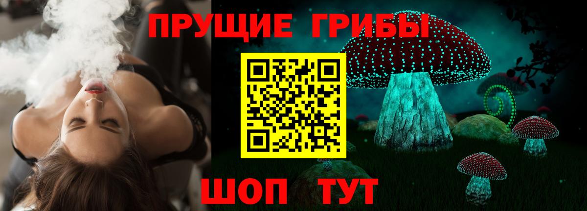 Псилоцибиновые грибы Psilocybine cubensis Ишимбай